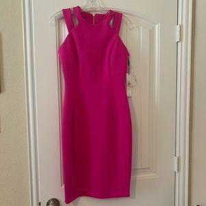 Calvin Klein pink pencil dress